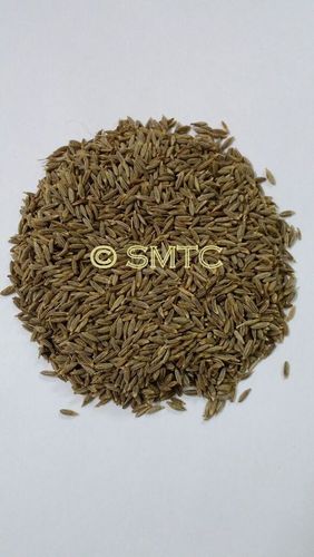 Cumin Seeds Cumin Seeds