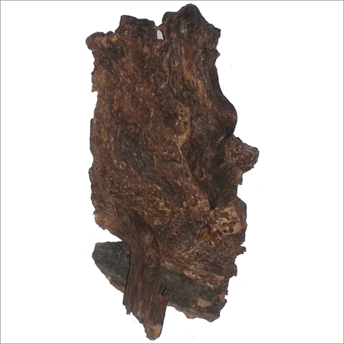 Agarwood Oil