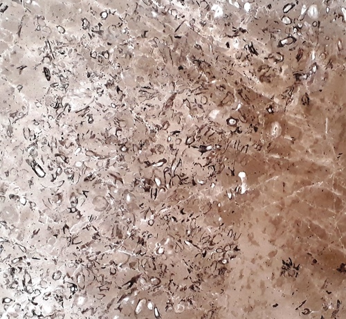Armani Grey Marble