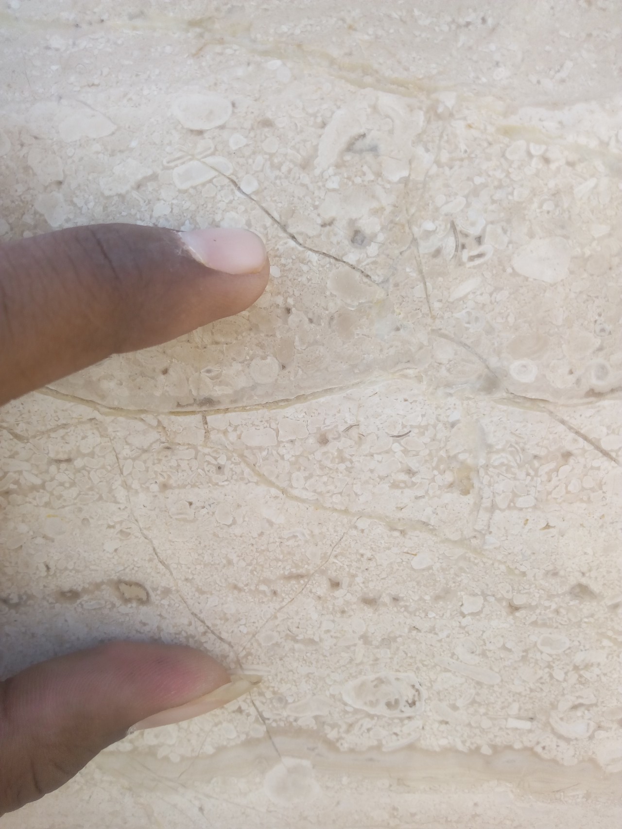 Royalty Free Italian-marble