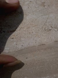 Italian light beige dyna marble