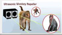 Monkey Repeller