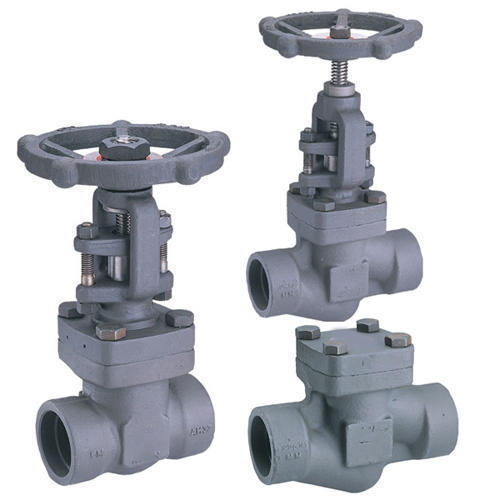 Forged Steel Check Valves ASME Class