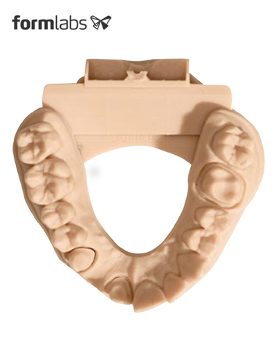 Dental Model Resin