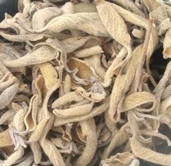 Dried Sage leaves