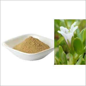 Bacopa