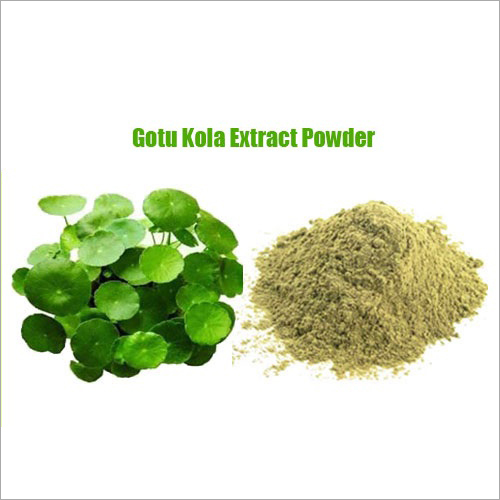 Gotu Kola Extract