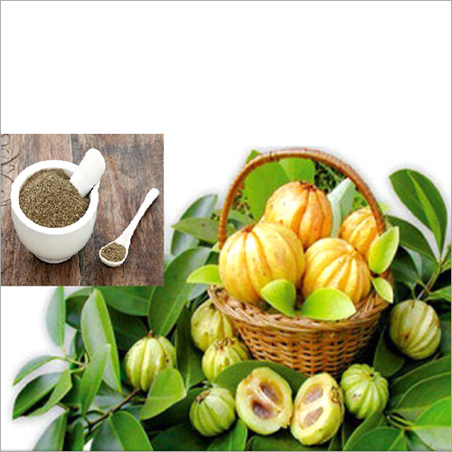 Garcinia Extracts
