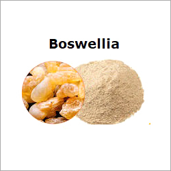 Natural Boswellia Extract