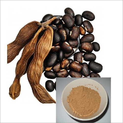 Mucuna Pruriens Extract Powder