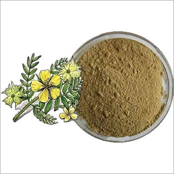 Tribulus Terrestris Extract