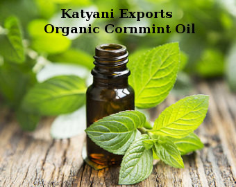Organic Cornmint Oil