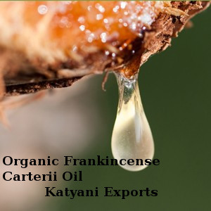 Organic Frankincense Carterii Oil - Yellowish, 10ml Amber Glass Bottle | Pure, Organic, Therapeutic, Aromatic, Natural Healing