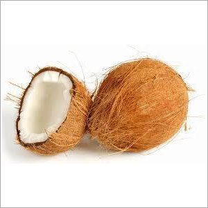 Fresh Semi Husked Coconut