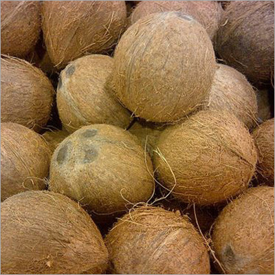 Matured Whole Brown Coconut