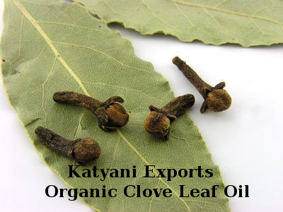 Organic Clove Leaf Oil