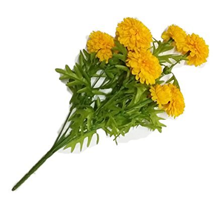 Marigold Leaves