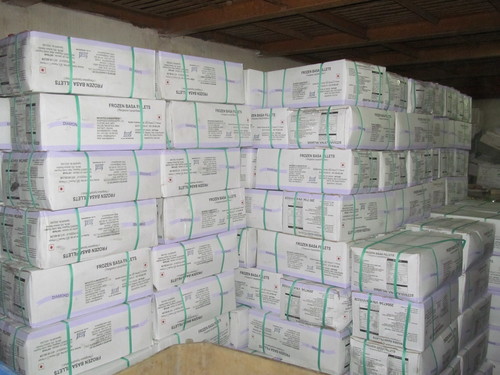Cold Storage