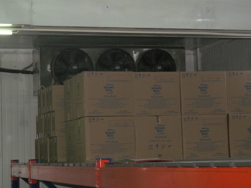 Cold Room Storage
