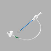 Introducer Sheath