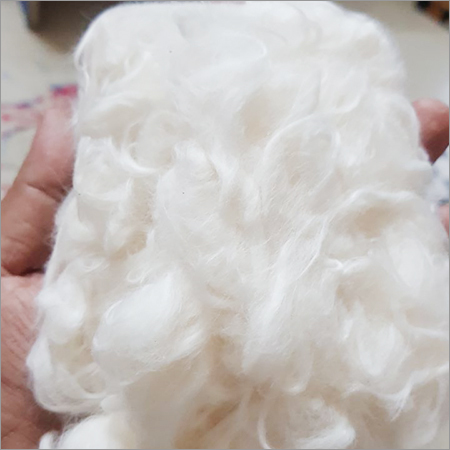  Cotton Comber  Noil Manufacturers Suppliers Dealers