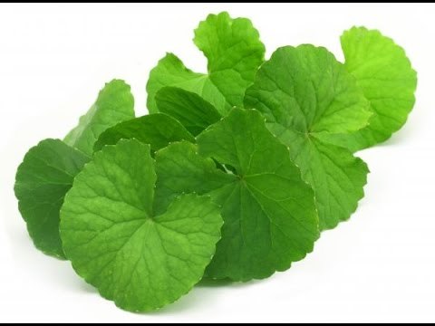 How to reduce fat fast picture 4
