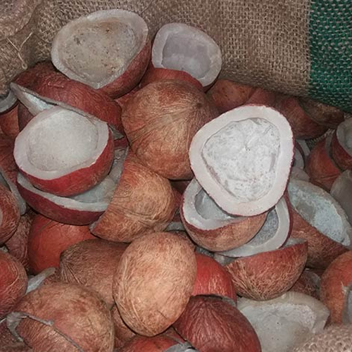 Dried Cut Coconut