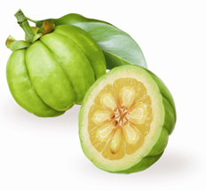 Garcinia Cambogia