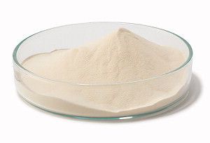 Peptone Powder