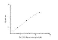 Rat CREB(Cyclic AMP Response Element Binding Protein) ELISA Kit