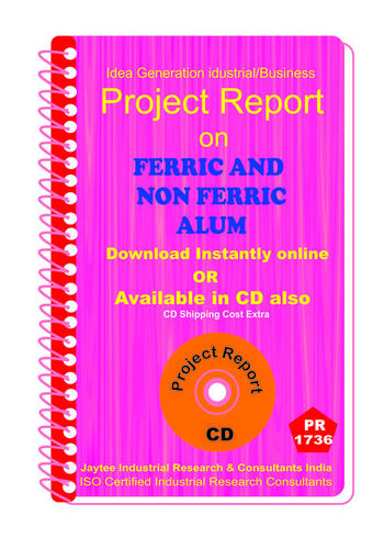 Ferric And Non Ferric Alum Manufacturing Project Report Ebook