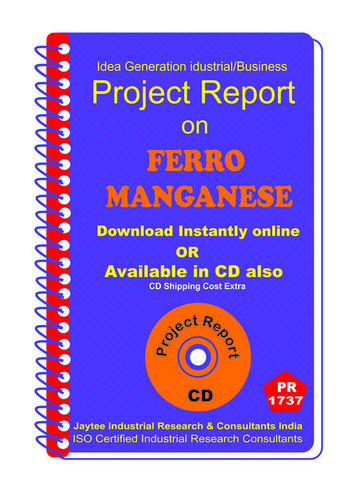 Ferro Manganese manufacturing Project Report eBooK