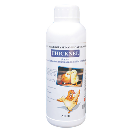 Chicknel