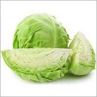 Fresh Cabbage