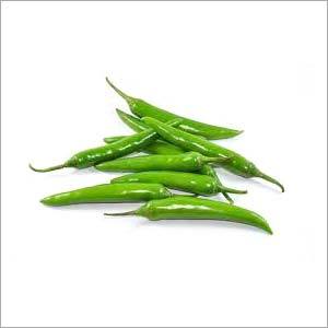 Indian Green Chilli