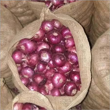 Fresh Onion