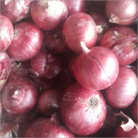 Pure Red Onion