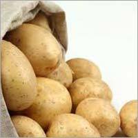 Fresh Potato