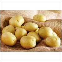 White Potato