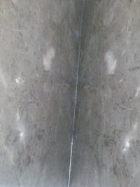 Grey Wililam