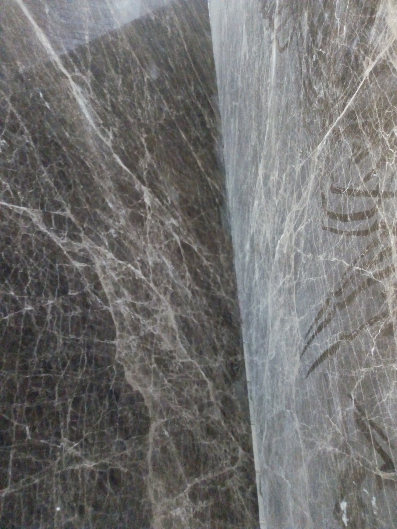 jaguar marble