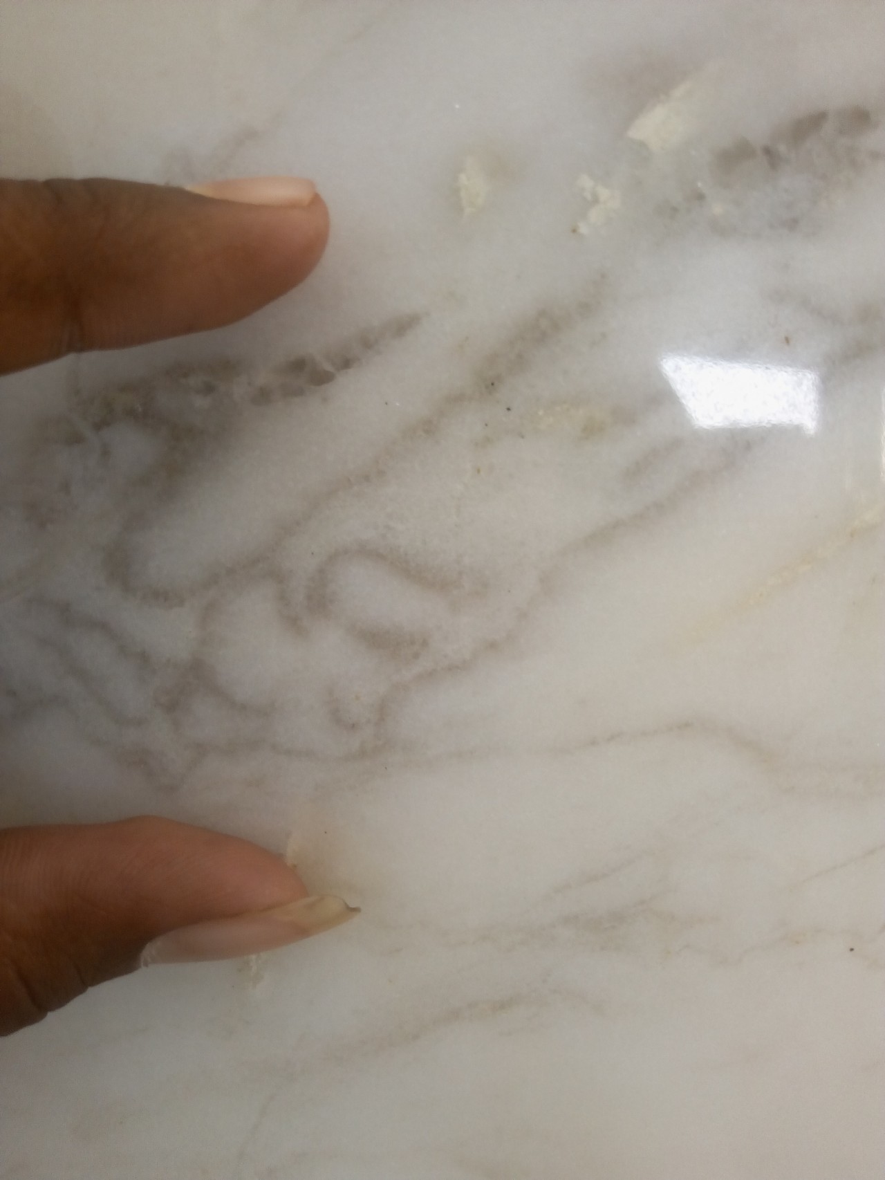 indian volakas White Marble