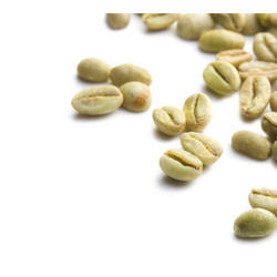 Green Coffee Extract