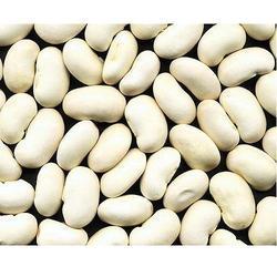 White Kidney Bean Extracts