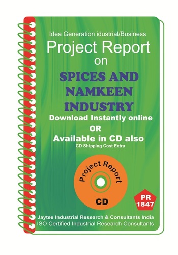 Namkeen Industry Project Reports