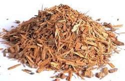 Catuba Bark Extract