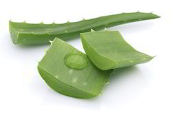 Aloe Vera Extracts