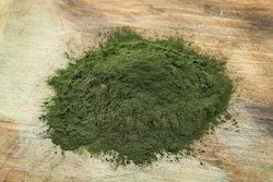 Spirulina Powder