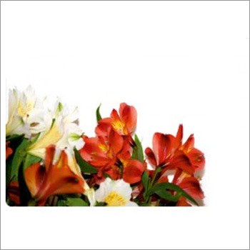 Floral Restaurant Table Mat