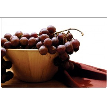 Fruit & Vegetable Designs Restaurant Table Mat